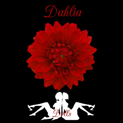 Dahlia/Dolls