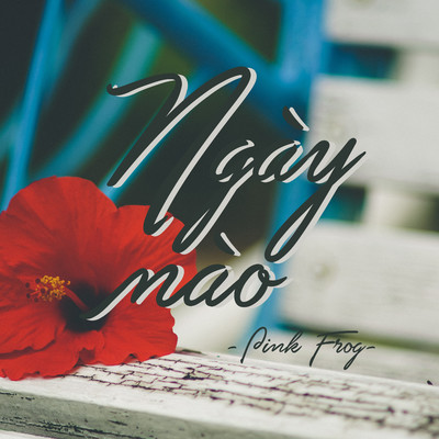 シングル/Ngay Nao (Instrumental)/Pink Frog