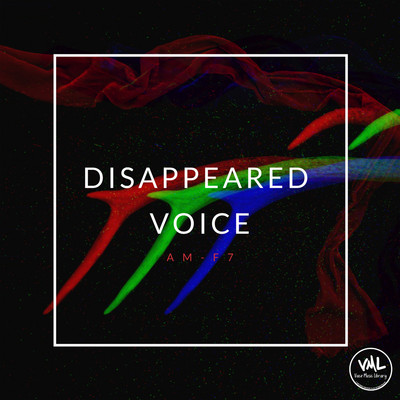 アルバム/Disappeared voice/AM-F7