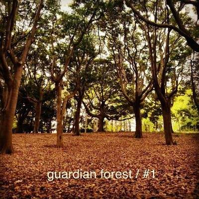 guardian forest