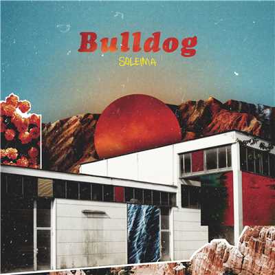 アルバム/Bulldog/Soleima