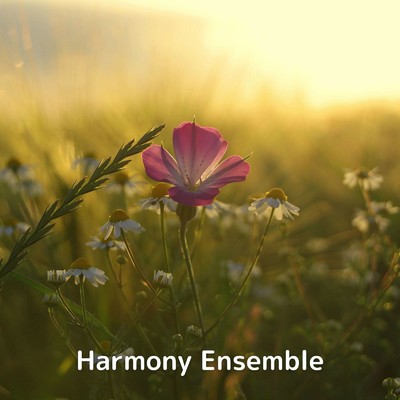アルバム/Harmony Ensemble/Soulful Symphony