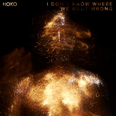 I Don't Know Where We Went Wrong/HOKO