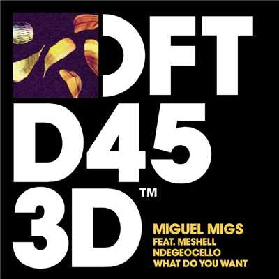 What Do You Want (feat. Meshell Ndegeocello) [Migs Salted Vocal]/Miguel Migs