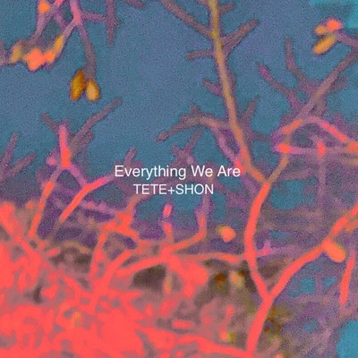 シングル/Everything We Are/TETE+SHON