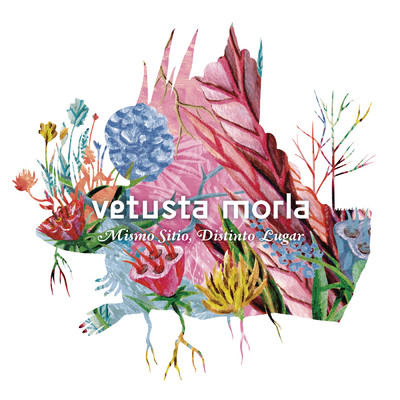 アルバム/Mismo Sitio, Distinto Lugar/Vetusta Morla