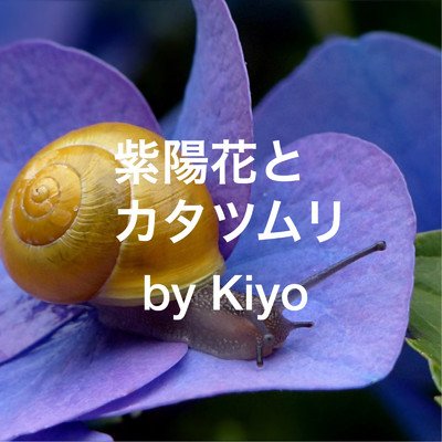シングル/紫陽花とカタツムリ/Kiyo