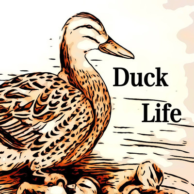 Duck Life/bunbuun