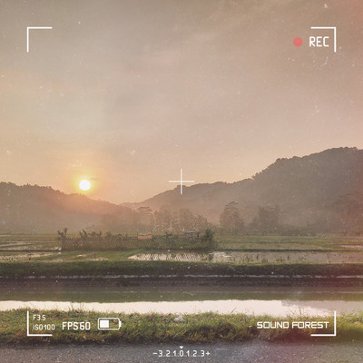 シングル/百日紅 (feat. ALL BGM CHANNEL)/Sound Forest