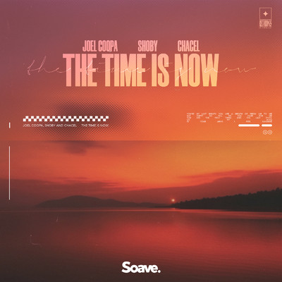 The Time Is Now/Joel Coopa