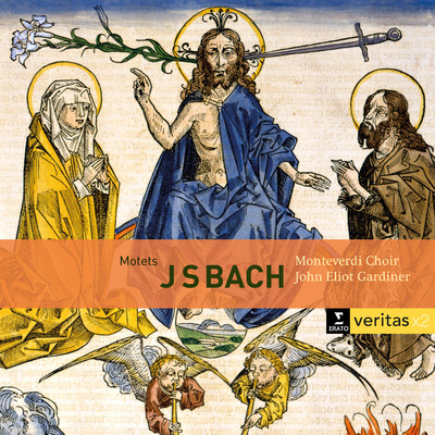 アルバム/Bach: Motets BWV 225-231, Cantatas BWV 50 & 118/John Eliot Gardiner