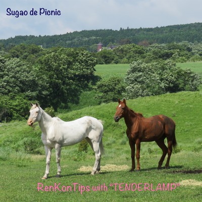シングル/Sugao de Picnic (feat. TENDERLAMP)/RenKonTips
