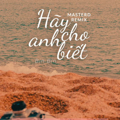 シングル/Hay Cho Anh Biet (MasterD Remix)/Bin Bin