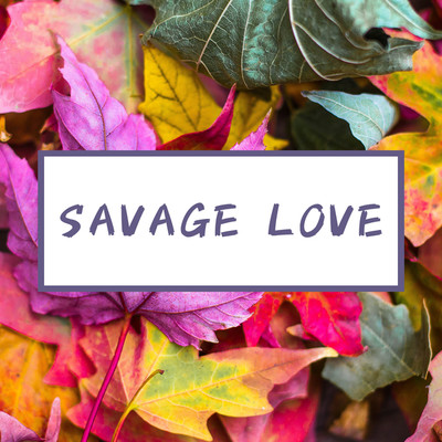 アルバム/Savage Love/TK lab