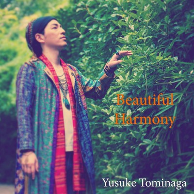 Beautiful Harmony/冨永裕輔