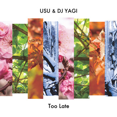 シングル/Too Late/USU & DJ YAGI