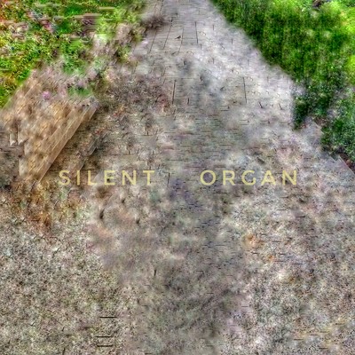 Silent Organ/Clearance