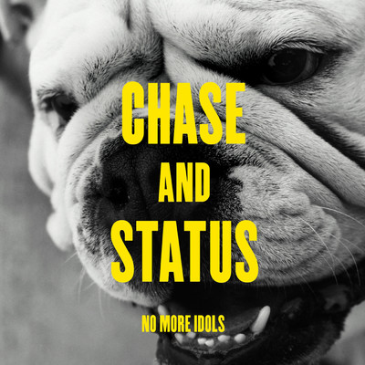 Blind Faith (featuring Liam Bailey／MJ Cole Remix)/Chase & Status