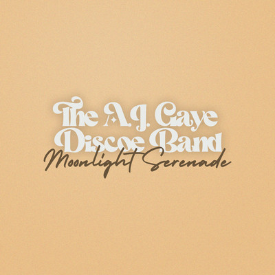 Moonlight Serenade/The A.J. Gaye Discoe Band