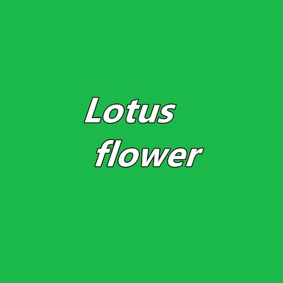 Lotus flower/Yuuki Nagatani