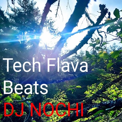 シングル/Tech Flava Beats/DJ NOCHI