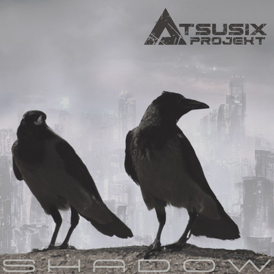 Shadow/atsusix project