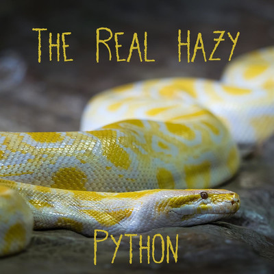 シングル/Python/The Real Hazy