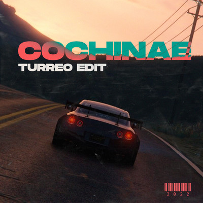 シングル/Cochinae (Turreo Edit)/Ganzer DJ