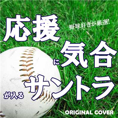 TAKE ME OUT TO THE BALL GAME 私を野球に連れてって ORIGINAL COVER/NIYARI計画