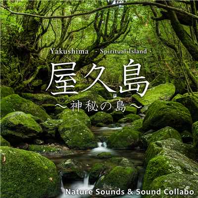 アルバム/屋久島 〜神秘の島〜/自然音 & サウンド・コラボ