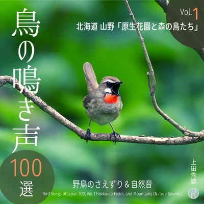 鳥の鳴き声 100選 Vol.1 北海道 山野 「原生花園と森の鳥たち」 野鳥のさえずり&自然音/上田秀雄