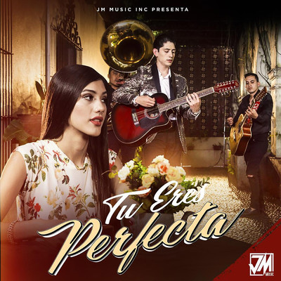 シングル/Tu Eres Perfecta/Pantera De Culiacan Sinaloa