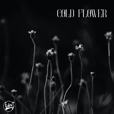 シングル/COLD FLOWER/gaku