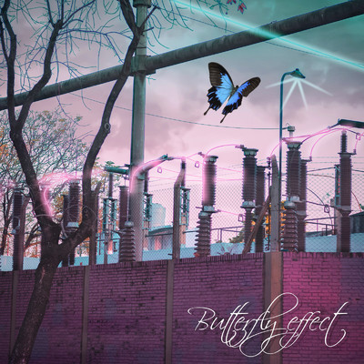 Butterfly effect/SACBEN