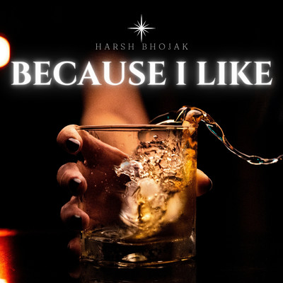 アルバム/Because I like/Harsh Bhojak