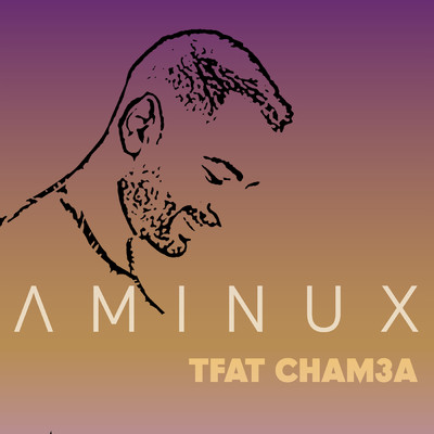 シングル/Tfat Chem3a/Aminux