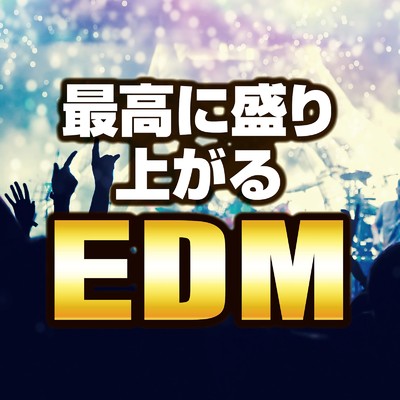 アルバム/最高に盛り上がるEDM/PARTY HITS PROJECT