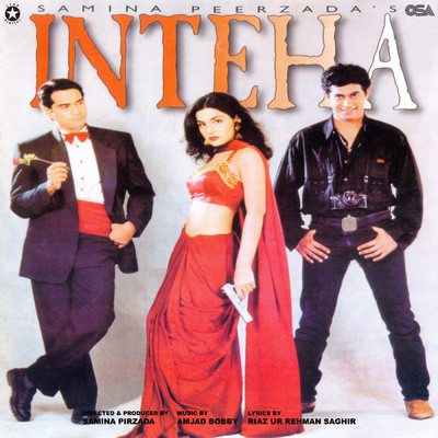 シングル/Hum Ne Aise Inteha/Waris Baig