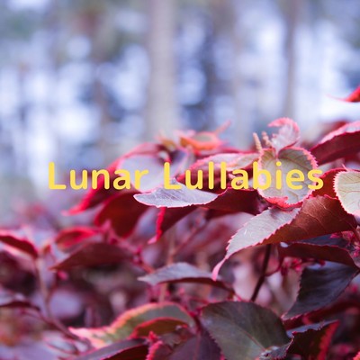 アルバム/Lunar Lullabies/Soulful Symphony