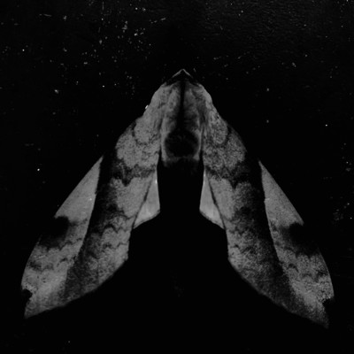 十三月の鯨 (Instrumental)/Parvane