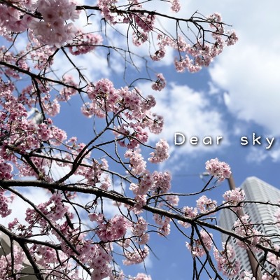 Dear sky/ちゃす
