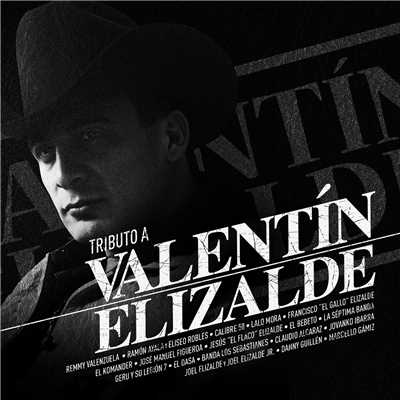 Tributo A Valentin Elizalde/Various Artists