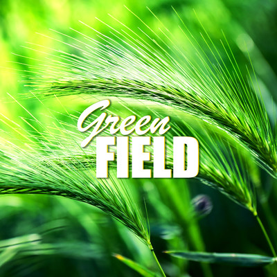 アルバム/Green Field/ChilledLab