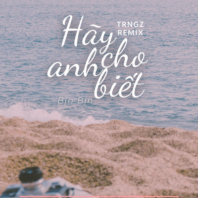 シングル/Hay Cho Anh Biet (Trngz Remix)/Bin Bin