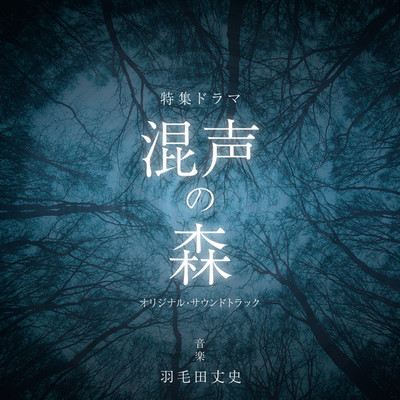 NHK特集ドラマ「混声の森」オリジナルサウンドトラック/羽毛田丈史