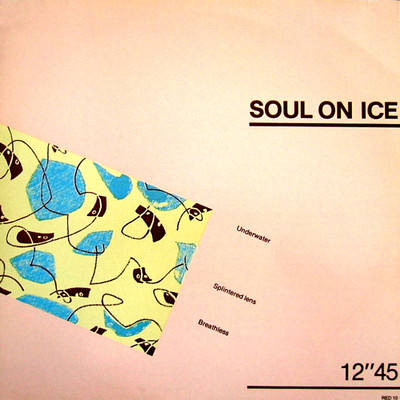 Soul On Ice