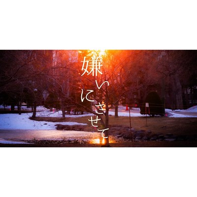シングル/嫌いにさせて(instrumental)/水無月セイヤ