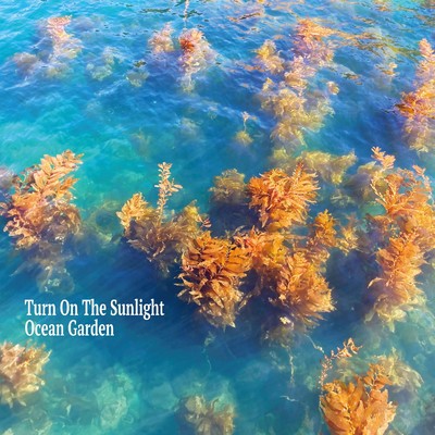 Floating Sunset feat.Cavana Lee,Laraaji/Turn On The Sunlight