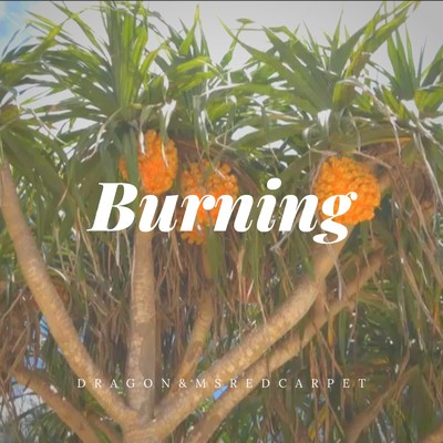 シングル/Burning/MSレッドカーペット & Dragon