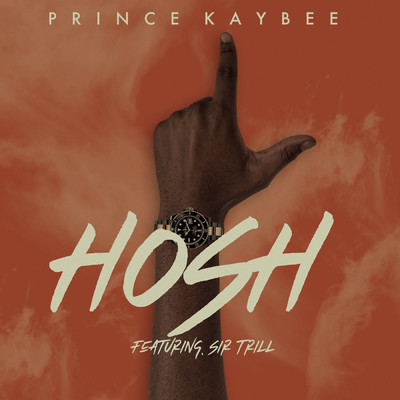 アルバム/Hosh (featuring Sir Trill)/Prince Kaybee